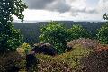 Wetterwechsel in Rheinland-Pfalz: Wolken und Schauer trotz sommerlicher Temperaturen