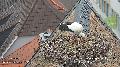 Virtuelle Rundreise durch Rheinland-Pfalz: Webcams im Einsatz