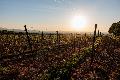 Sonnige Tage in Rheinland-Pfalz - Doch das Wochenende bringt Wetterumschwung