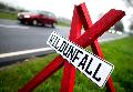 Wildunflle im Herbst: Tipps fr Autofahrer in Rheinland-Pfalz