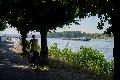 Hitzeschutz in Rheinland-Pfalz: St�dte r�sten sich gegen den Sommer