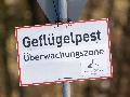 Vogelgrippe ist auch in Rheinland-Pfalz angekommen