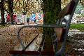 Herbstlicher Wochenstart in Rheinland-Pfalz: Regen und khle Temperaturen