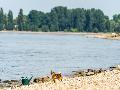 Drei Vermisste bei Biblis: Rhein-Suche ohne Erfolg, Polizei bittet um Hilfe