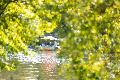 Milder Herbst in Rheinland-Pfalz: Sonnige Tage nach Nebel