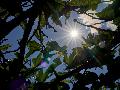Wetterumschwung in Rheinland-Pfalz - Sonne weicht Wolken