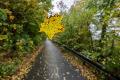 Herbstwetter in Rheinland-Pfalz: Regen und starker Wind erwartet