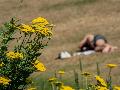 Hitzewelle im Anmarsch: Temperaturen bis 39 Grad erwartet