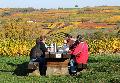 Herbstliche Entdeckungsreise durch Rheinland-Pfalz