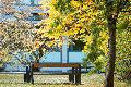 K�hleres Wetter und Regen erwartet: Herbstlicher Umschwung in Rheinland-Pfalz