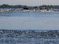 Hitzewelle treibt Rhein-Wassertemperaturen auf 27 Grad - Unternehmen in der Pflicht