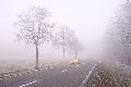 Kalte N�chte und Nebel: Wetterlage in Rheinland-Pfalz bleibt unbest�ndig