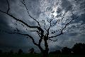 Wetterausblick: Regen und Gewitter in Rheinland-Pfalz
