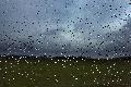 Rheinland-Pfalz im Regen: Erst ab Wochenende Besserung in Sicht