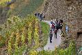 Wein, Wald und Wanderlust - Tipps f�r Herbst-Touren in Rheinland-Pfalz