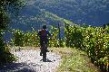Sp�tsommerw�rme in Rheinland-Pfalz - Wetterumschwung ab Donnerstag erwartet