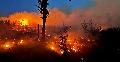 Waldbrand bei Alsdorf: 150 Einsatzkräfte rückten aus
