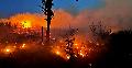 Waldbrand bei Alsdorf: 150 Einsatzkrfte rckten aus