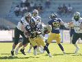 Letztes Heimspiel: Fighting Farmers Montabaur gegen Biberach Beavers