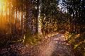 Kommende Wanderungen des Westerwald-Vereins Selters