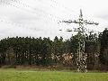 Stromausfall: Baum fiel am Wochenende in Freileitung bei Nistertal