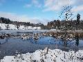 Biber-Sonntage - Auf den Spuren des Bibers im Westerwald