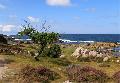 Ferien an der Ostholsteiner Ostsee  Die schnsten Orte fr Familien