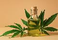 CBD  Das passiert im Krper nach der Einnahme