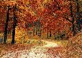 Westerwald im Herbst  Urlaub in Deutschland ist wieder en vogue