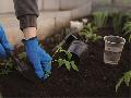 Privatsphre im Garten: Schne und praktische Lsungen fr mehr Rckzug
