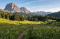 Urlaub auf der Hochalm � Warum Bergregionen als Reiseziel immer beliebter werden