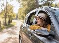 Kfz Rechner: Sicher durch den Westerwald im Fr�hling