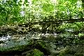 Rundwanderung vom Secker Weiher zur Holzbachschlucht