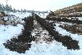 Harvester zerstren Quellbiotope im Hauser Wald und bei Westernohe