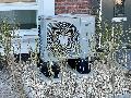 Mut zur Wrmepumpe im Altbau? Ein spannendes Projekt im Kreis Altenkirchen