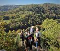Der Westerwald-Verein bietet Herbstwanderung durchs Buchfinkenland