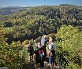 Der Westerwald-Verein bietet Herbstwanderung durchs Buchfinkenland