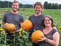 Hof Sch�tzenkamp setzt auf Mulch, Kornblumen und solidarische Landwirtschaft