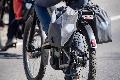 E-Bike-Trend in Rheinland-Pfalz: Jeder dritte Haushalt besitzt ein Elektrorad