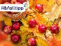 Herbst im Kreis Neuwied: So werden Fallobst und Laub richtig entsorgt