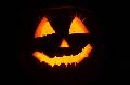 Tierpark Niederfischbach plant Halloween-Fest mit Zeitfenster-Tickets