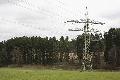 Baum fällt in Freileitung: Stromausfall in Unnau, Neunkhausen, Norken und Nistertal