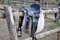 Melsbach: Pferdesättel und Reitzubehör aus einer aufgebrochenen Gerätebox entwendet