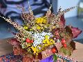 Herbstliche Kreativit�t auf dem Betzdorfer Wochenmarkt