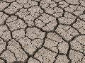 Klimaschutz im Dialog: Grne Veranstaltung in Wissen