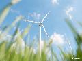 Streit um Windpark Drei Eichen: Gemeinderat erkl�rt B�rgerbegehren f�r unzul�ssig