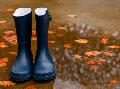 Herbstgefahr durch Laub: So beugen Hausbesitzer Wasserschden vor