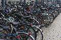 Bahnhof Wissen �berzeugt bei Test der Fahrradabstellanlagen