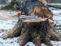Baumf�llarbeiten an der K 19: Vollsperrung zwischen Astert und L�tzelau