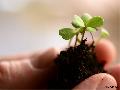 Wirtschaftsethik im Fokus: Neue Wege zu gesunden Arbeitswelten